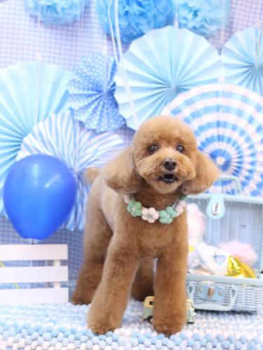 20231126レオくん